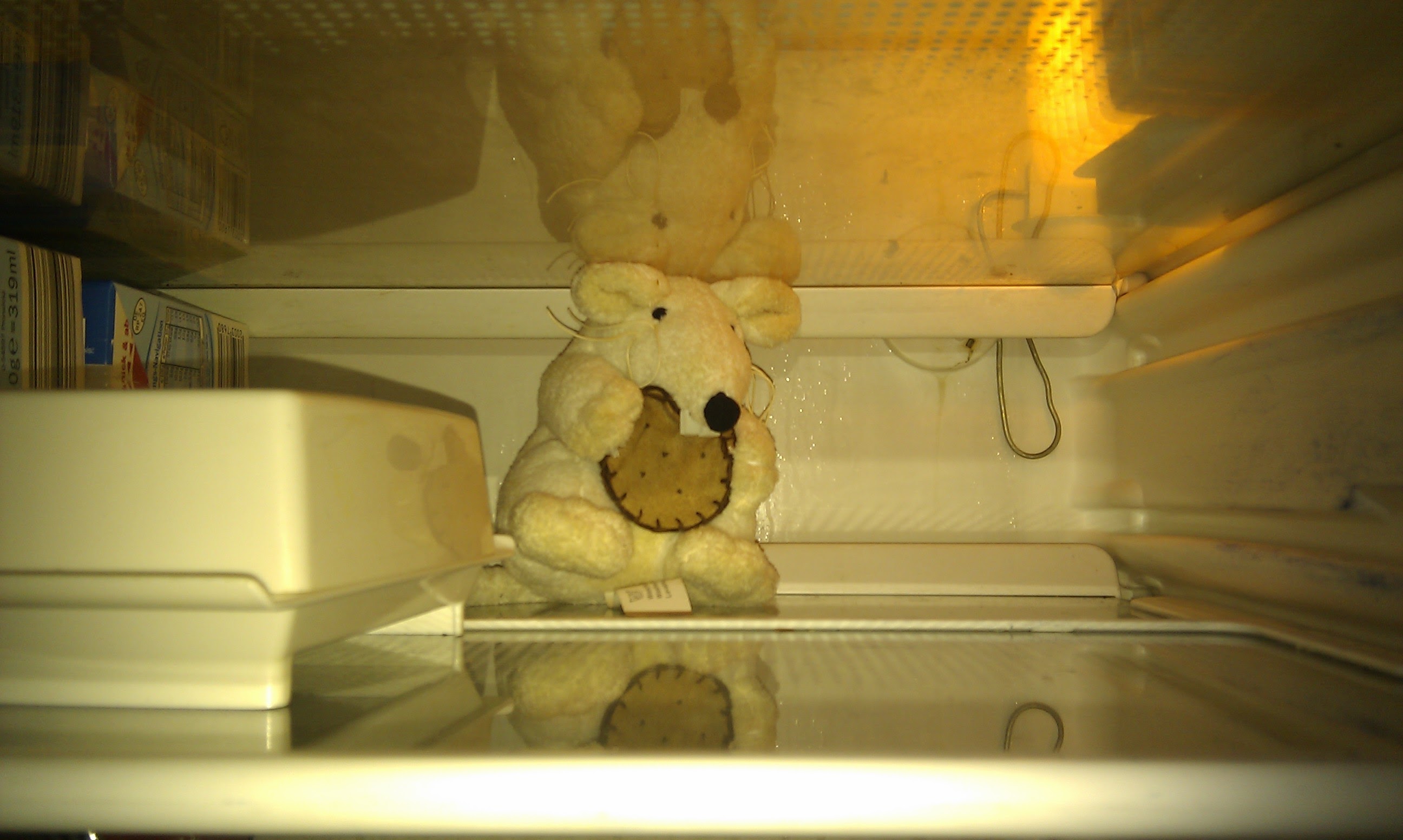 Die berühmte Plüsch-Ratte im Kühlschrank
